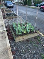 IMG_1799.jpeg IMG_1799.jpeg