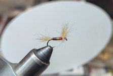 PXL_20251218_002211044.jpg