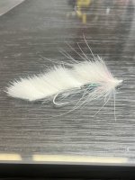 IMG_7542.jpeg