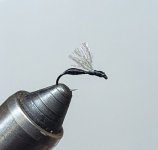 PXL_20251218_000459830.jpg