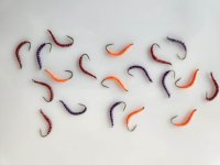 image000000 (5).jpg