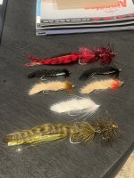 IMG_7547.jpeg