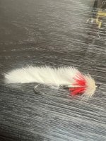 IMG_7548.jpeg