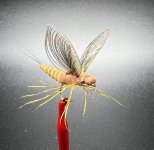 IMG_4261.jpeg