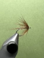 IMG_7549.jpeg