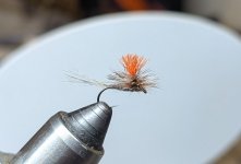 PXL_20251219_231633043.jpg