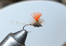 PXL_20251220_004329080.jpg