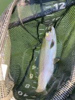 IMG_5215.jpeg