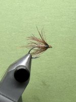IMG_7556.jpeg IMG_7556.jpeg