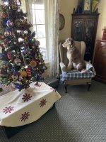 IMG_1125.jpeg IMG_1125.jpeg