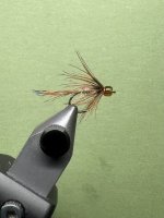 IMG_7559.jpeg