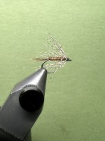 IMG_7561.jpeg