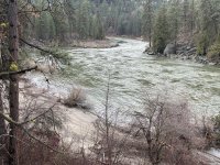 IMG_3171.jpeg
