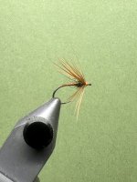 IMG_7563.jpeg