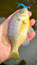 IMG_8245.jpeg