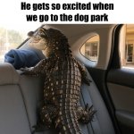 FB_IMG_1748396333515.jpg