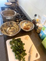 IMG_7577.jpeg