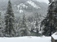 IMG_3181.jpeg