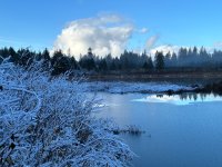 IMG_0232.jpeg