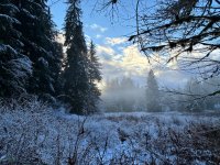 IMG_0250.jpeg
