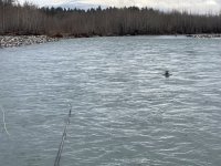 IMG_5714.jpeg