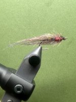 IMG_7596.jpeg