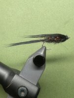 IMG_7597.jpeg