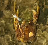 1000002030.jpg