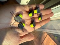 IMG_0702.jpeg