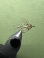 IMG_7604.jpeg