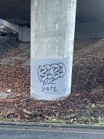 IMG_9338.jpeg