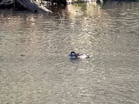 IMG_5159.jpeg