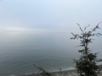 IMG_5186.jpeg