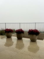 IMG_7627.jpeg