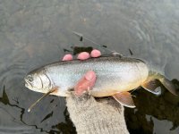 IMG_0300.jpeg