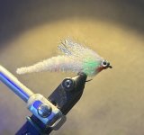 IMG_8470.jpeg