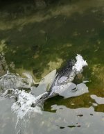 IMG_6631.jpeg