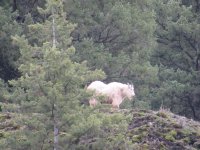 IMG_5096.JPG