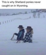 IMG_4887.jpeg