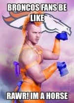 Broncos horse.jpeg