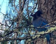 IMG_6667.jpeg