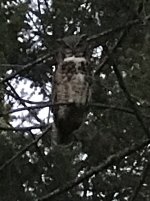 IMG_1766.jpeg