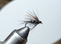 PXL_20260106_001054958.jpg