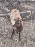 IMG_8543.jpeg