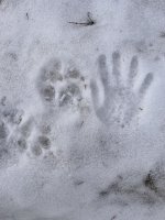 IMG_4555.jpeg