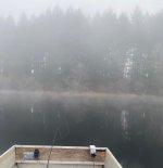 IMG_4005.jpg