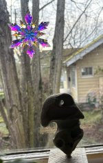 IMG_8559.jpeg