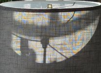 IMG_8558.jpeg