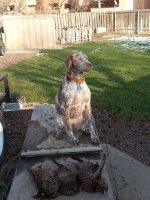 20130104_134042.jpg