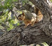 IMG_6817.jpeg